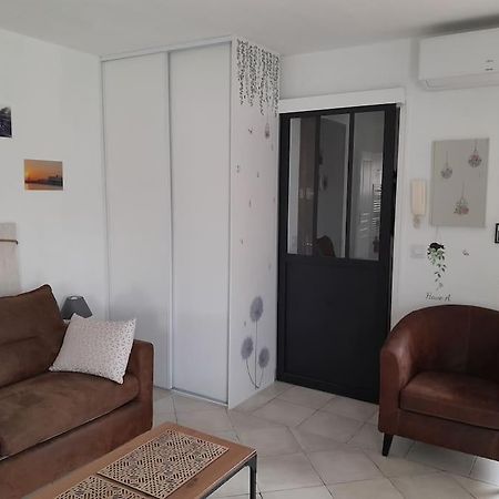 Charmant Studio Lumineux Avec Parking Prive Сен-Рафаэль Экстерьер фото